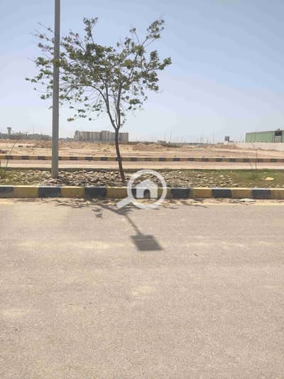مصنع للبيع في برج العرب، الإسكندرية - 1000152332. jpg مصنع للبيع في برج العرب، الإسكندرية - 1000152332. jpg