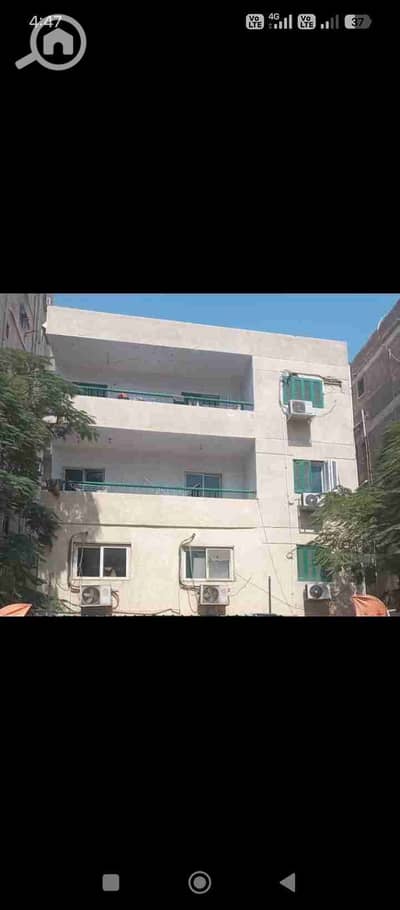 9 Bedroom Other Residential for Rent in Nasr City, Cairo - 1000105597. jpg