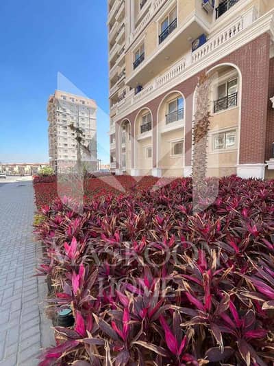 فلیٹ 3 غرف نوم للايجار في محرّم بيك، الإسكندرية - 67e14e80-7248-45c4-9abe-26a2cdc829b5. jpg فلیٹ 3 غرف نوم للايجار في محرّم بيك، الإسكندرية - 67e14e80-7248-45c4-9abe-26a2cdc829b5. jpg