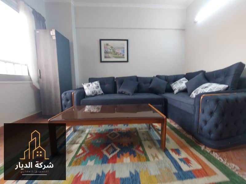 Furnished studio apartment for rent on Mossadeq Street, Dokki. First occupancy – pohled 3