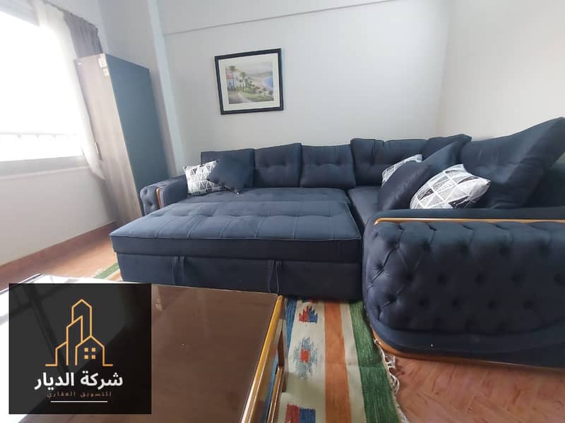 Furnished studio apartment for rent on Mossadeq Street, Dokki. First occupancy – pohled 4