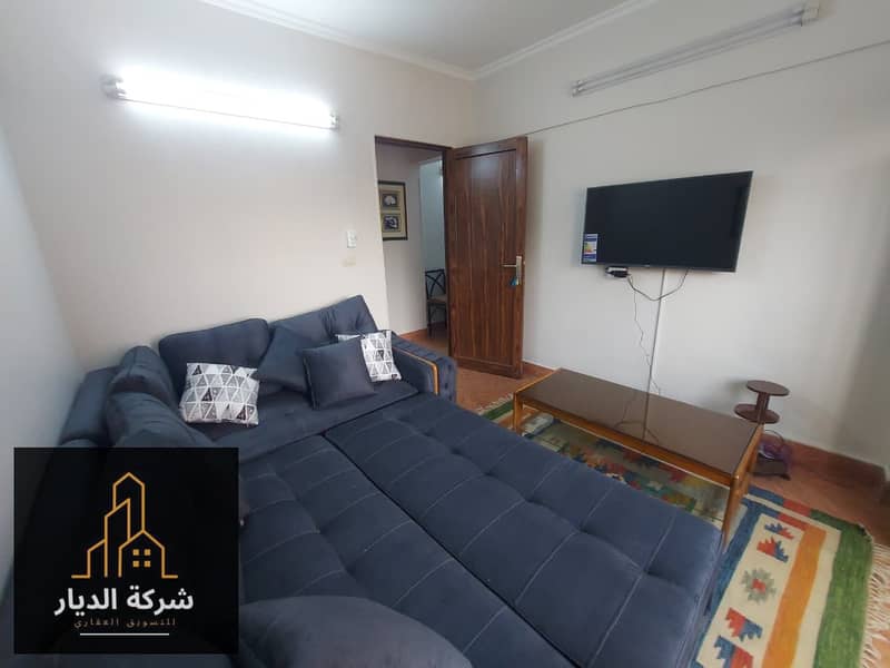 Furnished studio apartment for rent on Mossadeq Street, Dokki. First occupancy – pohled 5