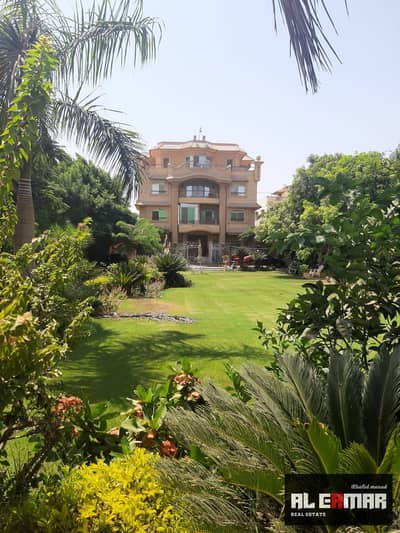 10+ Beds Villa for Sale in 6th of October, Giza - d3209350-efa7-4372-be4e-d70e4b2f932e. jpg 10+ Beds Villa for Sale in 6th of October, Giza - d3209350-efa7-4372-be4e-d70e4b2f932e. jpg