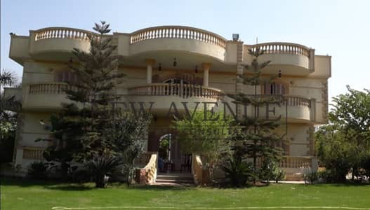 5 Bedroom Villa for Sale in 6th of October, Giza - WhatsApp Image 2026-02-04 at 12.55. 55 PM. jpeg 5 Bedroom Villa for Sale in 6th of October, Giza - WhatsApp Image 2026-02-04 at 12.55. 55 PM. jpeg