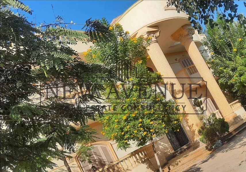 Standalone Villa with 10,850 sqm Land Area - Mynd 3