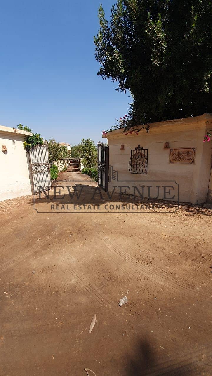 Standalone Villa with 10,850 sqm Land Area - Mynd 4