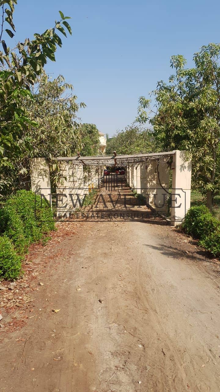 Standalone Villa with 10,850 sqm Land Area - Mynd 5