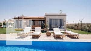 4 images (22). jpg