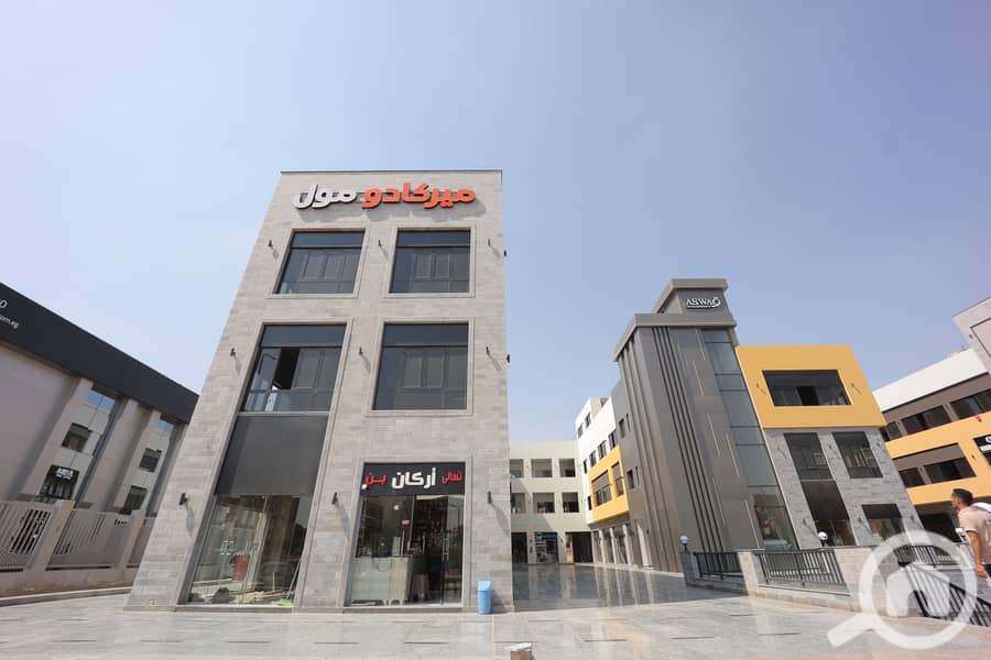 3 KORY8173. JPG