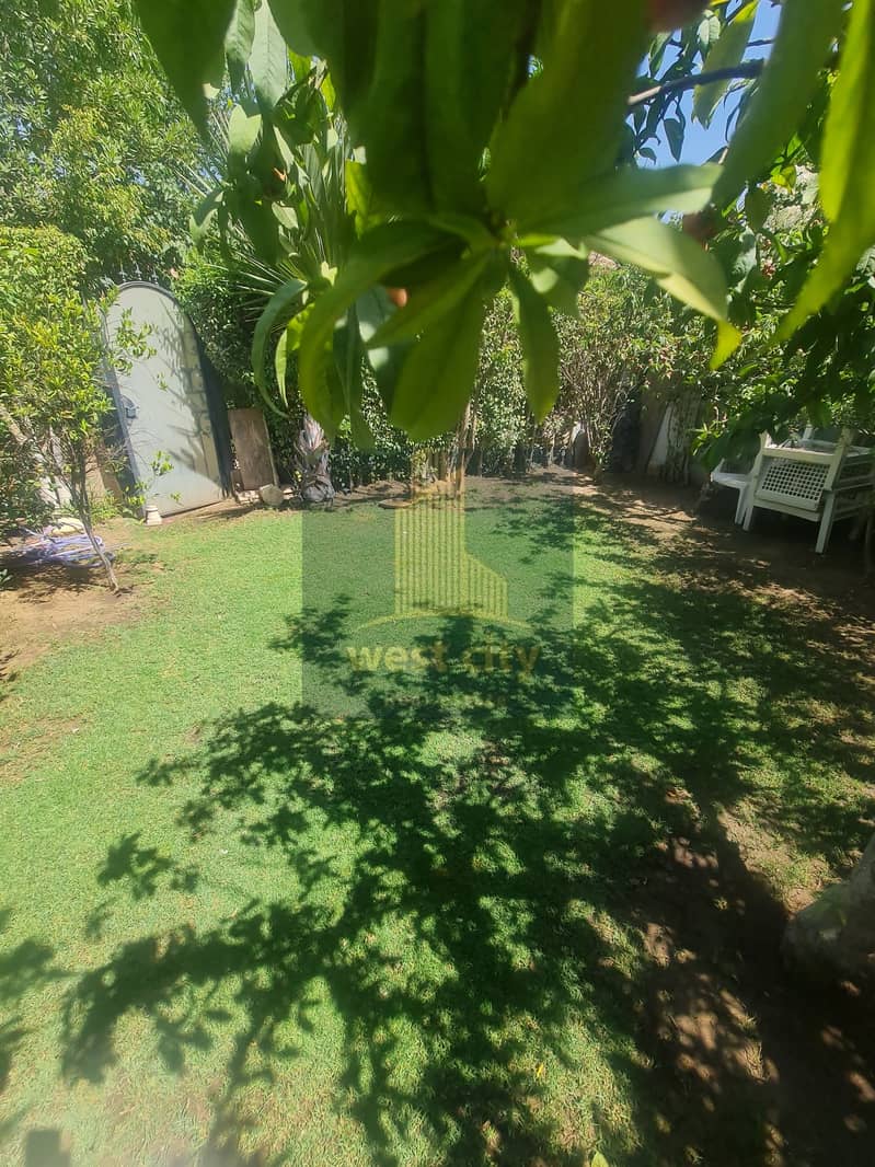 5 20260422_134357. jpg