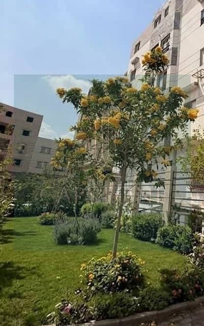 شقة 2 غرفة نوم للبيع في القاهرة الجديدة، القاهرة - WhatsApp Image 2026-04-29 at 11.11. 36 AM. jpeg
