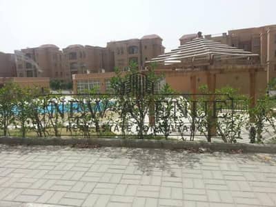 3 Bedroom Flat for Sale in New Cairo, Cairo - WhatsApp Image 2025-10-23 at 11.18. 07 AM. jpg 3 Bedroom Flat for Sale in New Cairo, Cairo - WhatsApp Image 2025-10-23 at 11.18. 07 AM. jpg