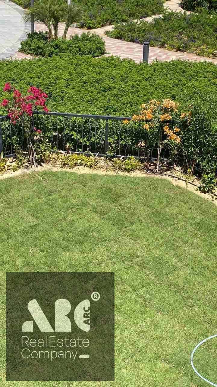 4 26569. jpg
