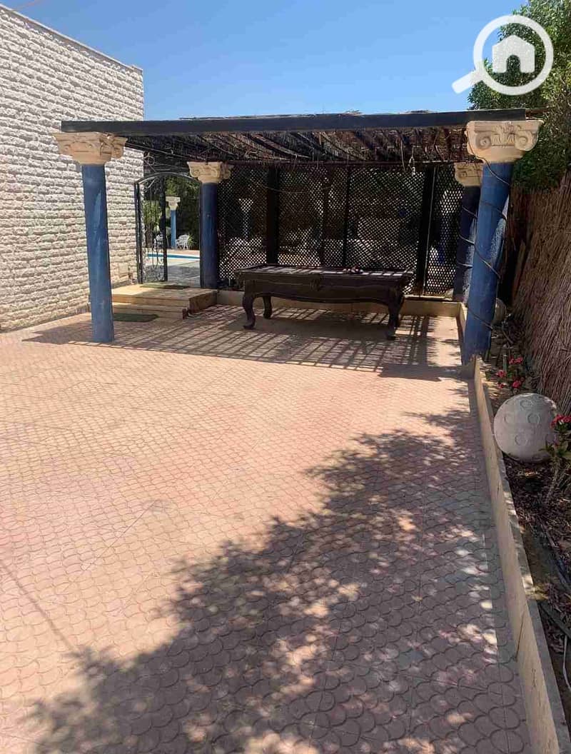 24 29732. jpg