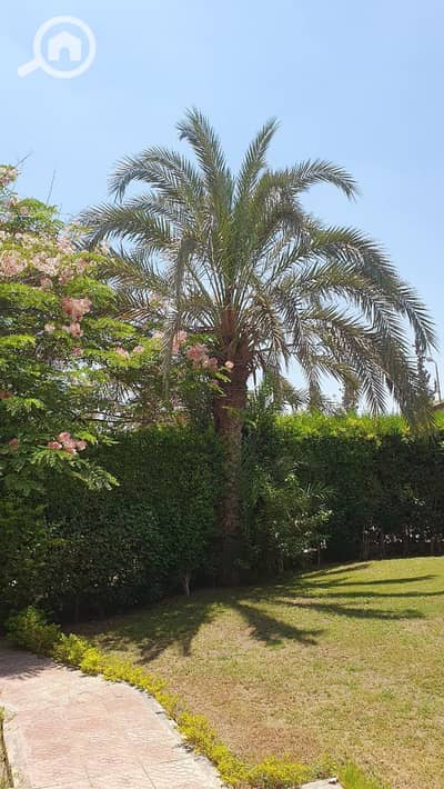 3 Bedroom Villa for Sale in Sheikh Zayed, Giza - WhatsApp Image 2026-04-29 at 11.52. 15 PM(1). jpeg