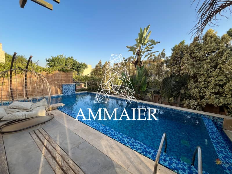 4 633ae43e-3ee0-417e-b50a-54ed234bf4f9. jpg