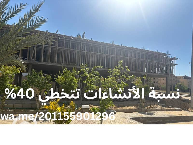 11 wa. me20115590129 (7). png