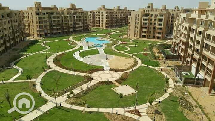 56596561_2376207185725492_7366188290703097856_n - Copy. jpg 56596561_2376207185725492_7366188290703097856_n - Copy. jpg