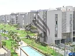 7 6. jpg