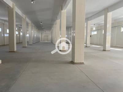Factory for Sale in Borg al-Arab, Alexandria - مصنع 2600م للبيع