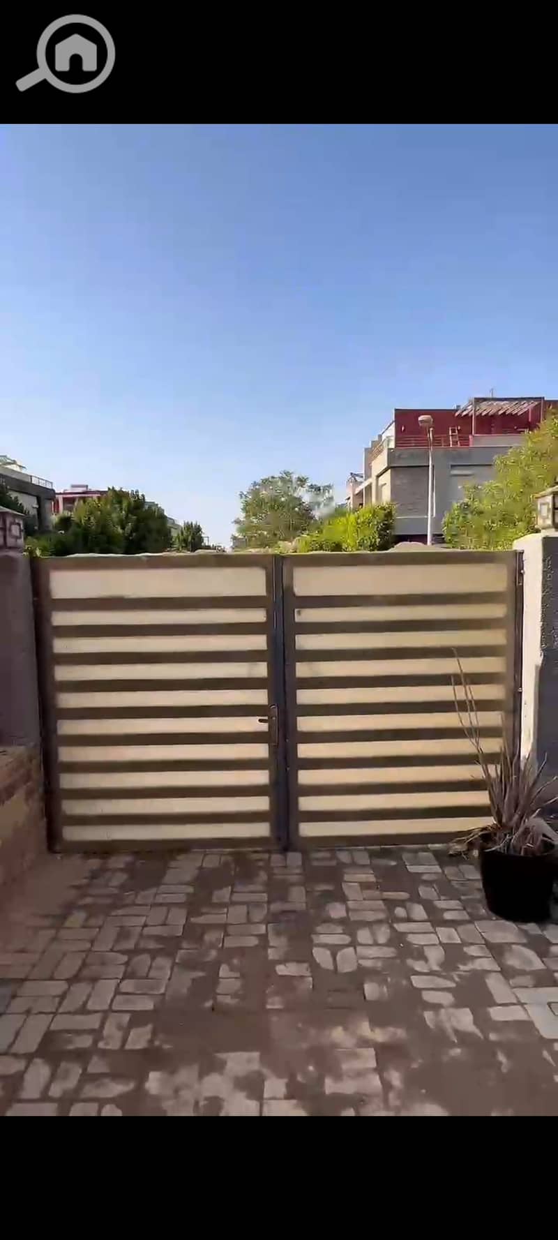 4 1000912783. jpg