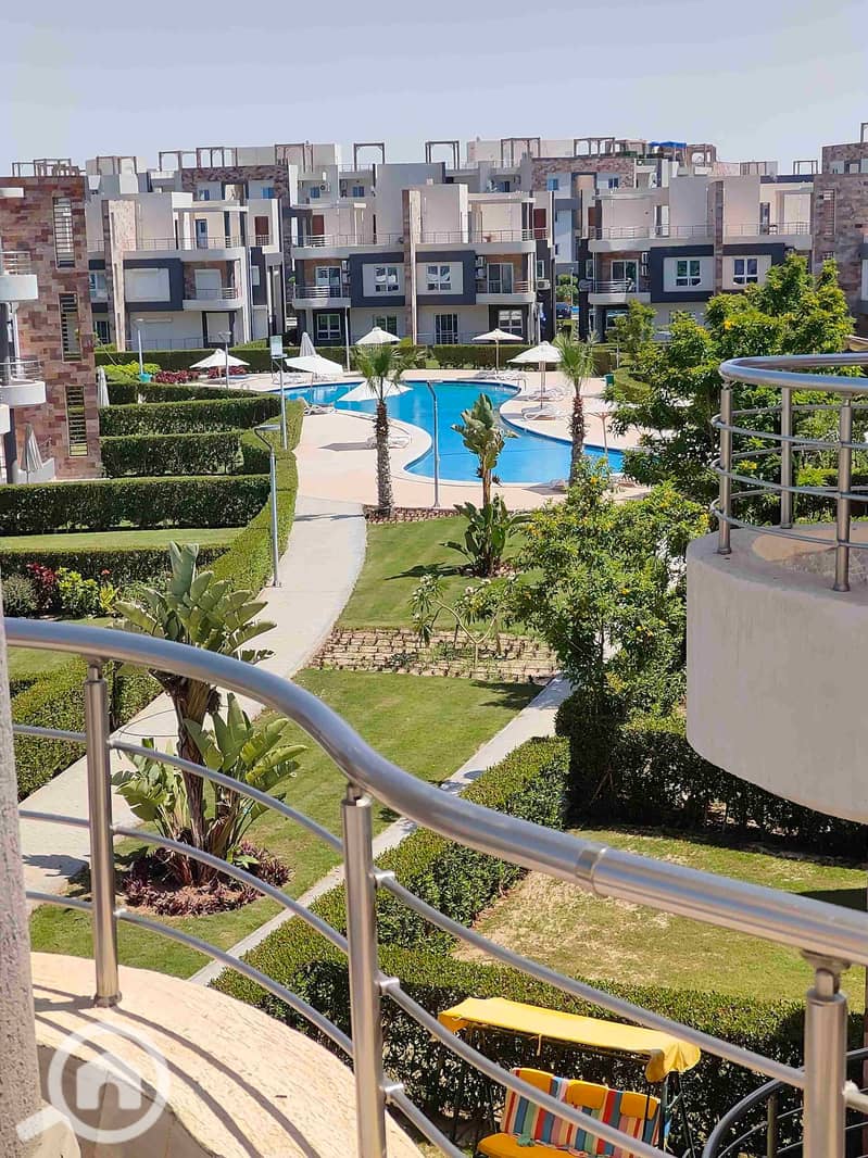 6 22562. jpg
