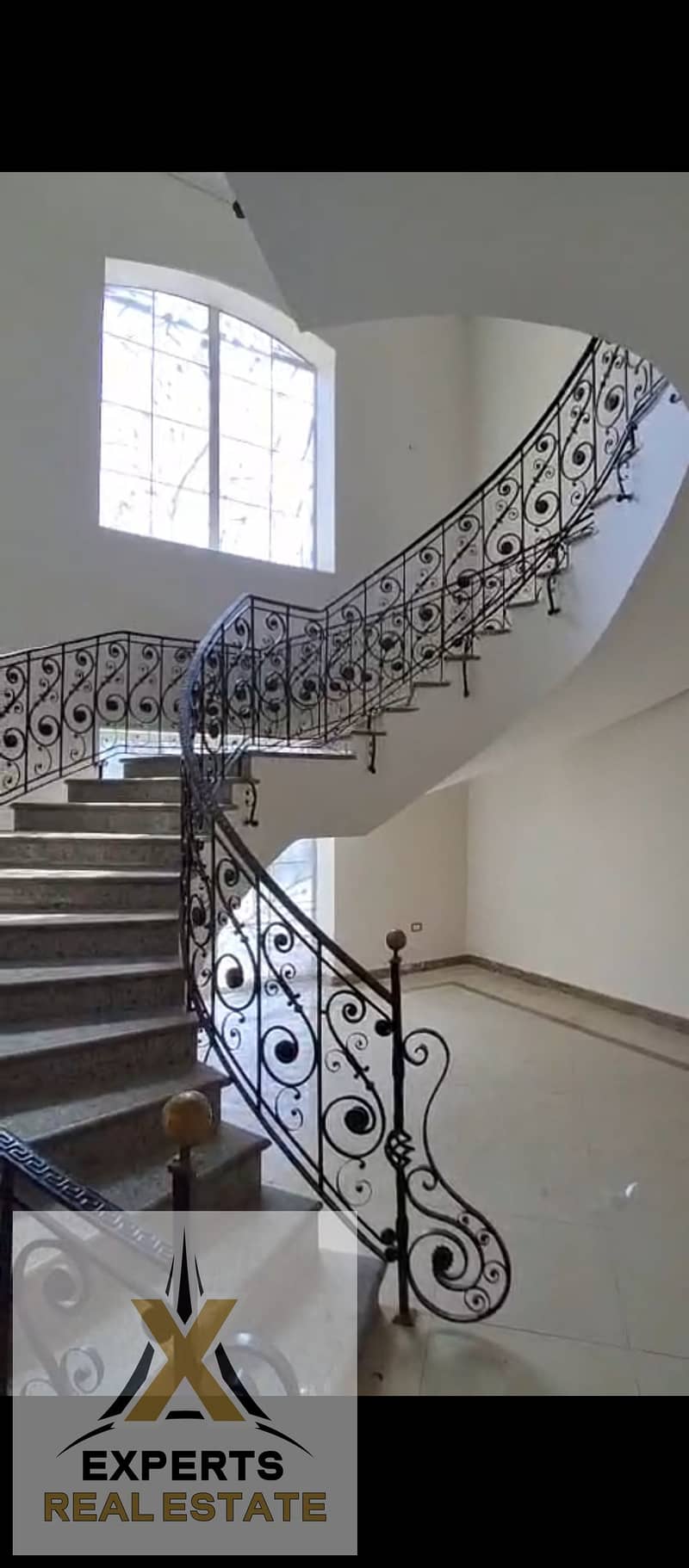 6 1000004749. jpg