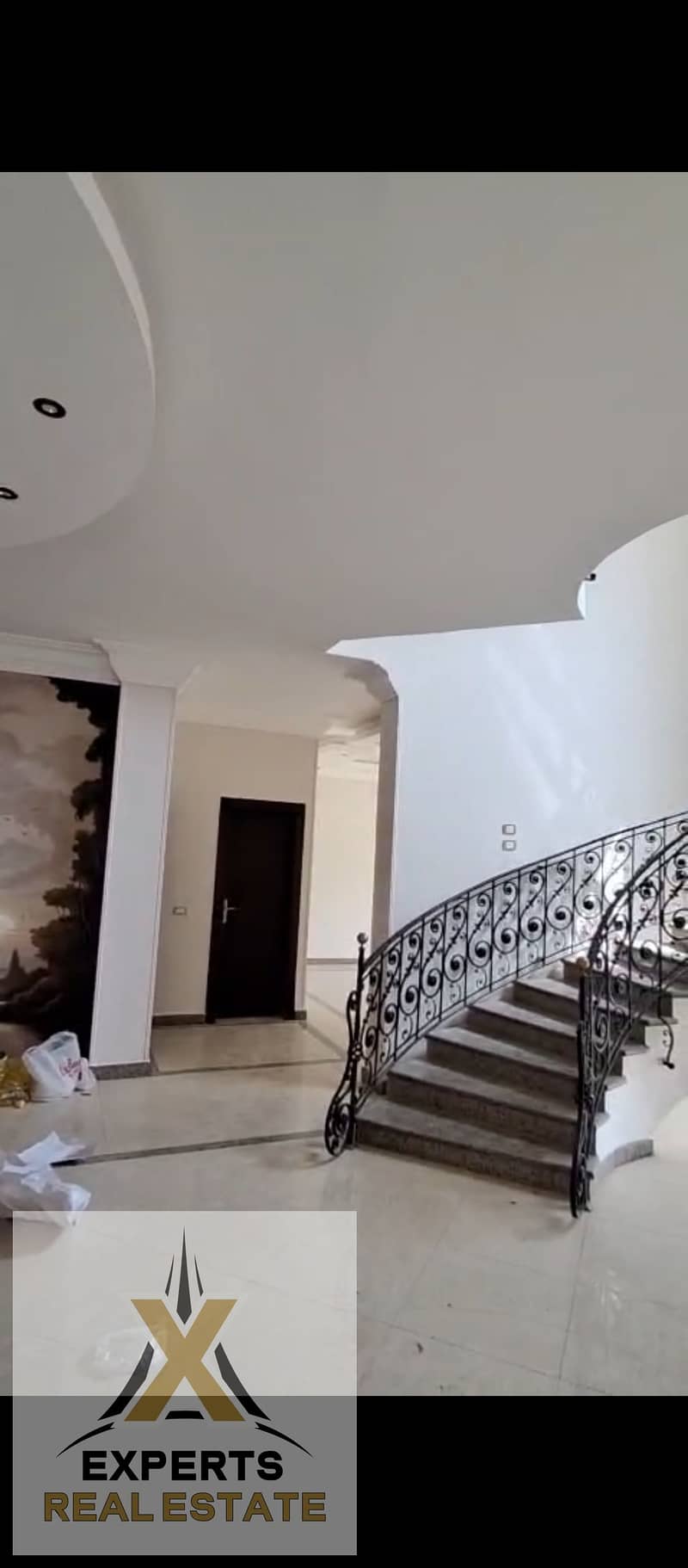 8 1000004744. jpg