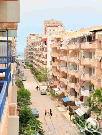 شقة 2 غرفة نوم للبيع في النخيل، الإسكندرية - 1000558134. jpg