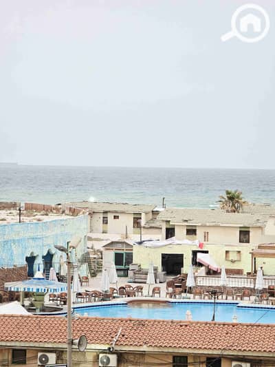 شقة 3 غرف نوم للبيع في النخيل، الإسكندرية - 1000558028. jpg شقة 3 غرف نوم للبيع في النخيل، الإسكندرية - 1000558028. jpg