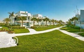 5 images (4). jpg