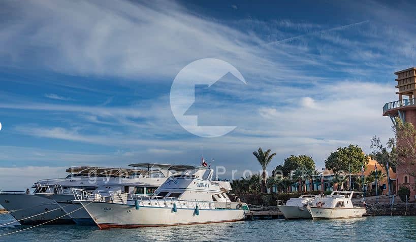 7 GOUNA6299. JPG