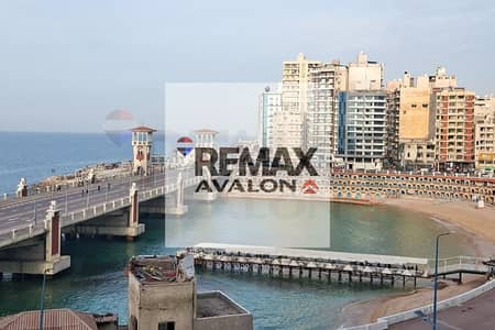 فلیٹ 6 غرف نوم للبيع في ستانلي، الإسكندرية - WhatsApp Image 2026-01-10 at 3.46. 37 PM (1). jpg