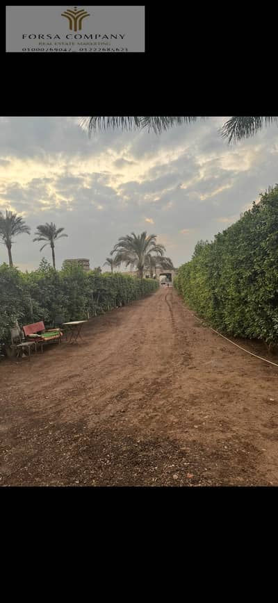 Commercial Land for Sale in Tanta, Gharbia - WhatsApp Image 2026-04-02 at 2.36. 25 PM (3). jpeg