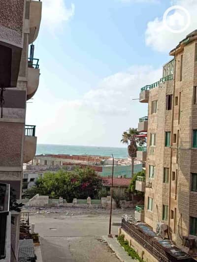 2 Bedroom Flat for Sale in Nakheel, Alexandria - 1000558910. jpg