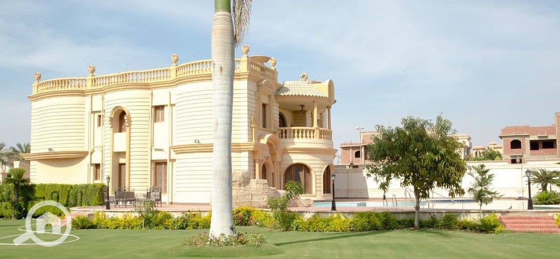 5 ضحايا النخيل (35). jpeg