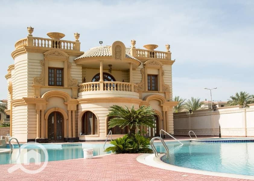 10 ضحايا النخيل (41). jpeg