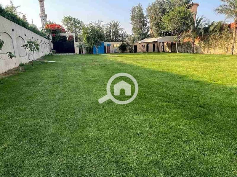 Rare Investment Opportunity in the Heart of Sheikh Zayed – 25 Feddans for Sale – pohled 4