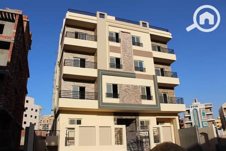 3 Bedroom Flat for Sale in New Cairo, Cairo - WhatsApp Image 2026-05-05 at 12.02. 18 PM. jpeg 3 Bedroom Flat for Sale in New Cairo, Cairo - WhatsApp Image 2026-05-05 at 12.02. 18 PM. jpeg