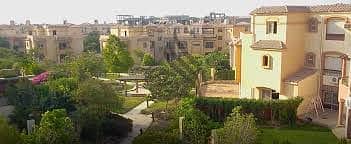 5 5. jpg