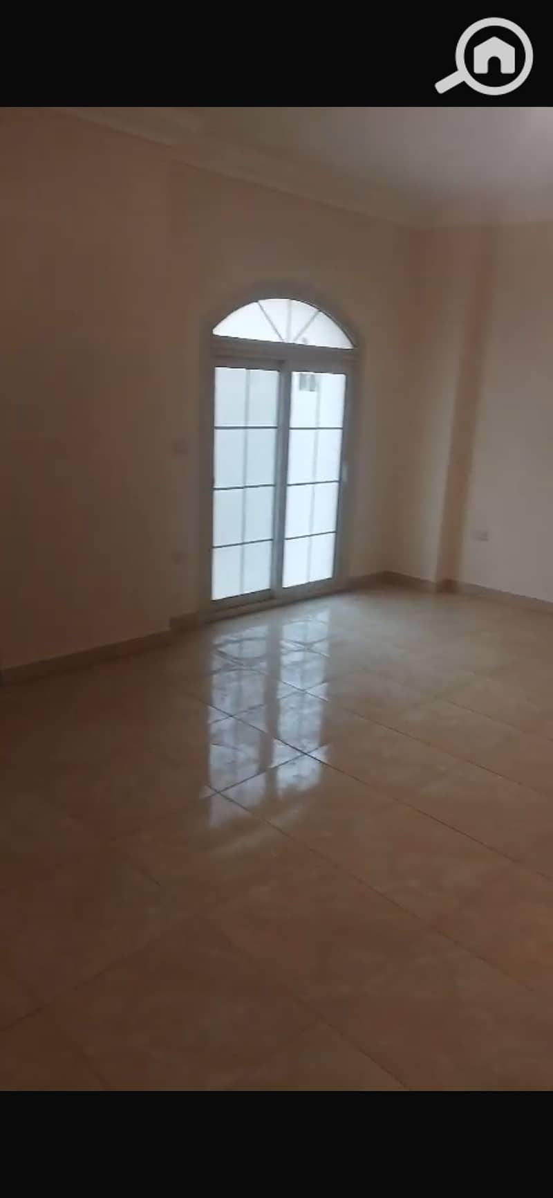 3 IMG_6544. png