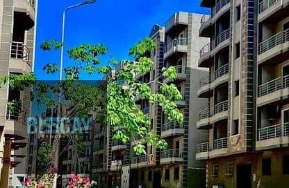 3 Bedroom Apartment for Sale in Katameya, Cairo - 4. jpg