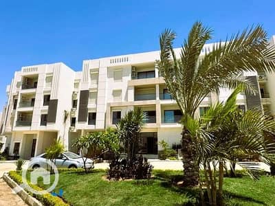 1 Bedroom Room for Sale in Shorouk City, Cairo - WhatsApp Image 2026-04-20 at 1.58. 48 PM (1). jpeg