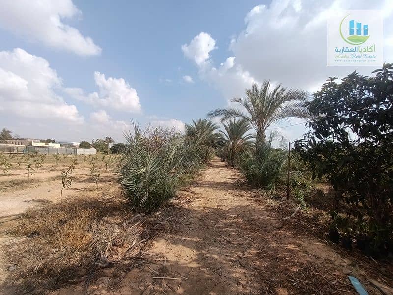 16 IMG20221206125741. jpg