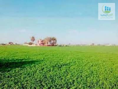 أرض زراعية  للبيع في العبور، القاهرة - 00عرابي. jpg