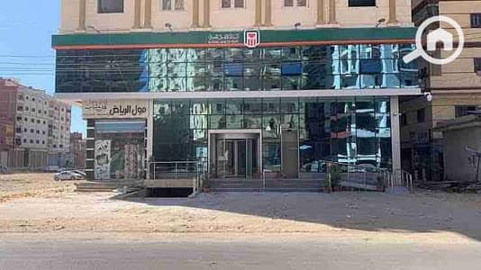 محلات تجارية للبيع في مدينة نصر، القاهرة - 387886. jpg محلات تجارية للبيع في مدينة نصر، القاهرة - 387886. jpg