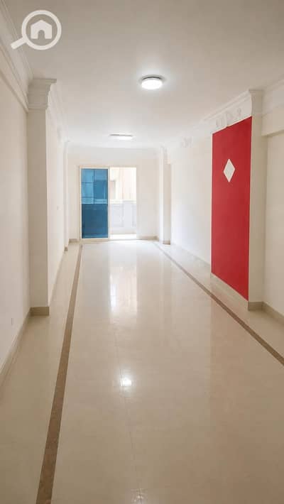 Office for Rent in Raml Station, Alexandria - WhatsApp Image 2026-05-07 at 11.21. 04 AM. jpeg Office for Rent in Raml Station, Alexandria - WhatsApp Image 2026-05-07 at 11.21. 04 AM. jpeg