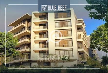 2 Bedroom Flat for Sale in New Cairo, Cairo - sfsf. jpg 2 Bedroom Flat for Sale in New Cairo, Cairo - sfsf. jpg