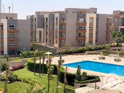 غرفة للايجار في الشيخ زايد، الجيزة - 1. jpg غرفة للايجار في الشيخ زايد، الجيزة - 1. jpg