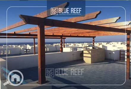 3 Bedroom Penthouse for Sale in North Coast, Matruh - cghjj. jpg 3 Bedroom Penthouse for Sale in North Coast, Matruh - cghjj. jpg